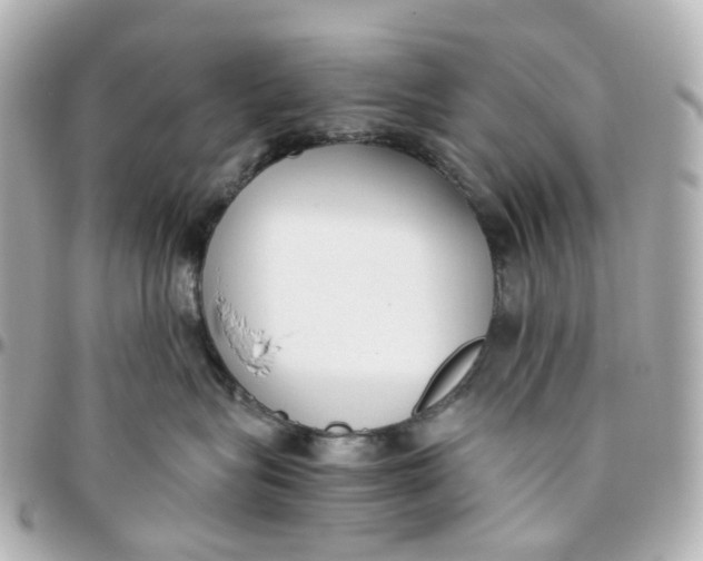 X0000095910575200802011153