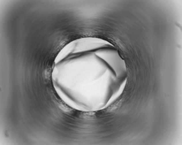 X0000095910576200802011153