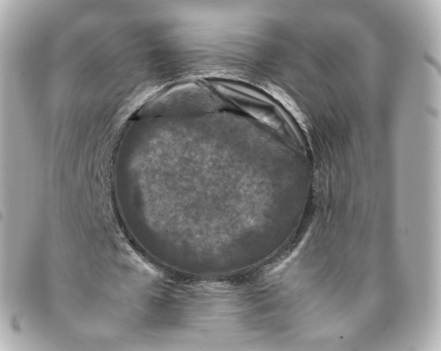 X0000095910577200802011152