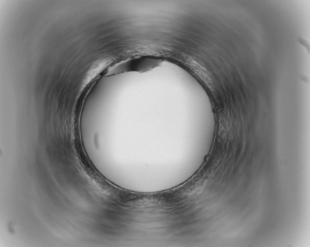 X0000095910578200802011152