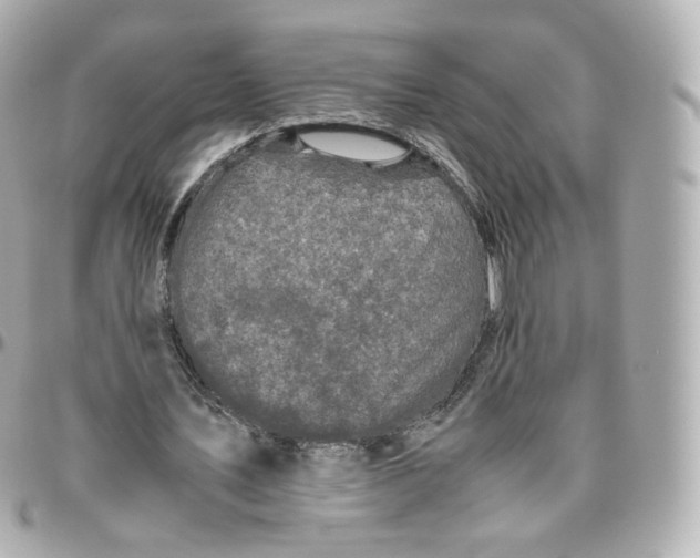 X0000095910579200802011152