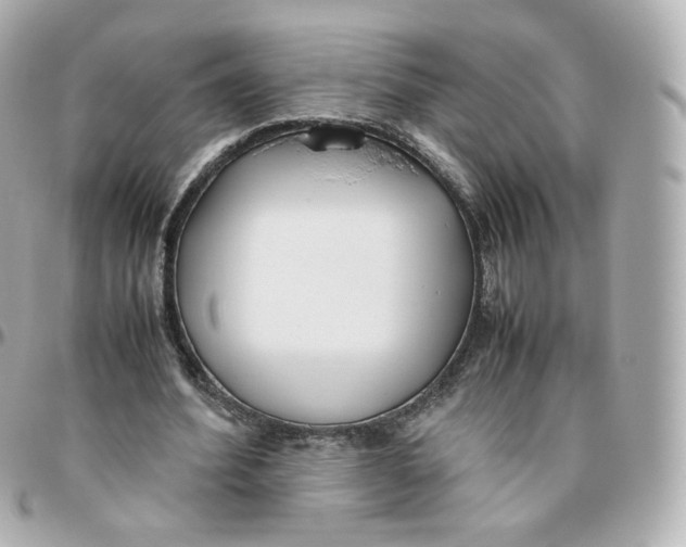 X0000095910580200802011152