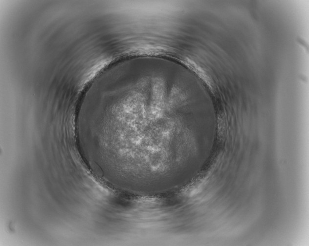 X0000095910581200802011152