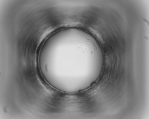 X0000095910582200802011152