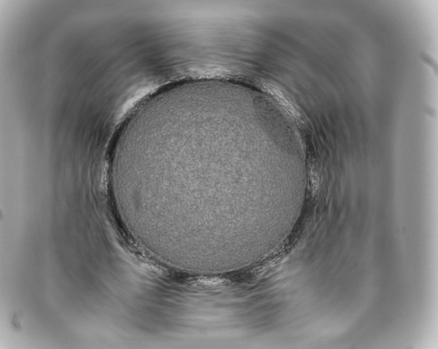 X0000095910583200802011152