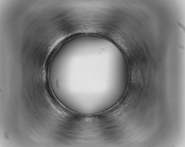 X0000095910584200802011152