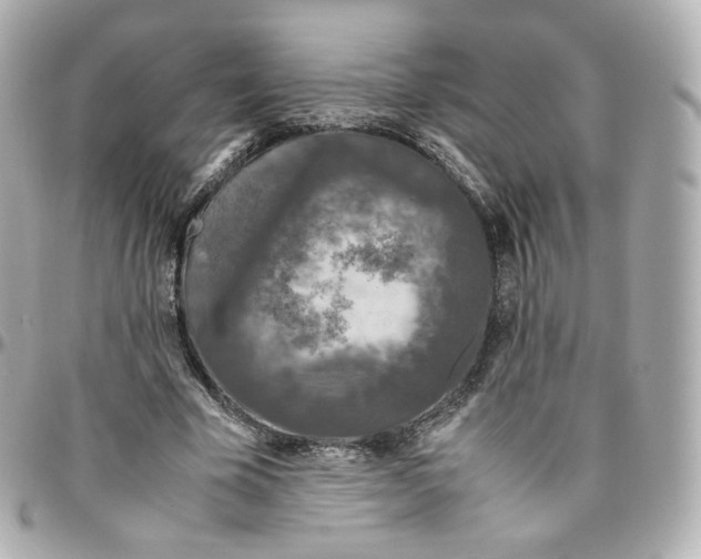 X0000095910585200802011152