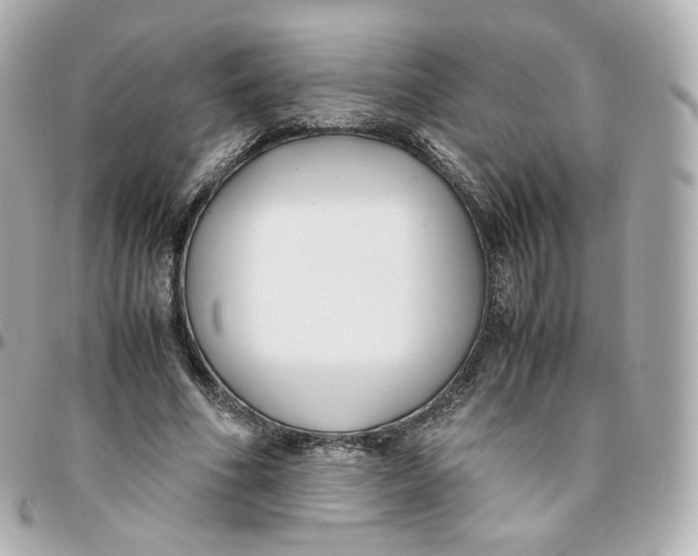 X0000095910586200802011152