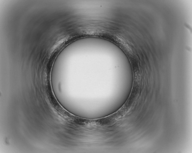 X0000095910587200802011152