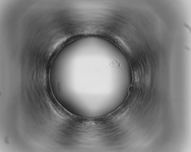 X0000095910588200802011152