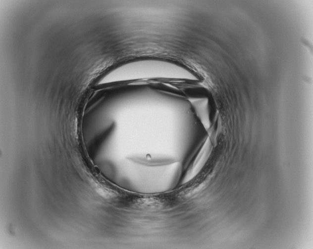 X0000095910589200802011152