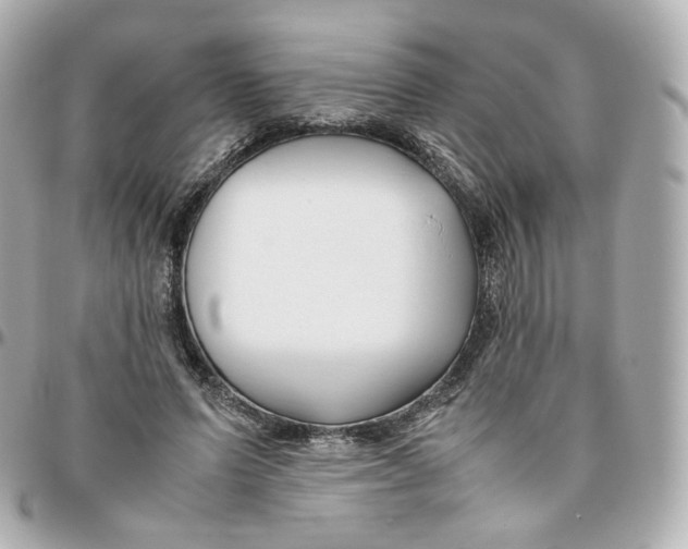 X0000095910591200802011152