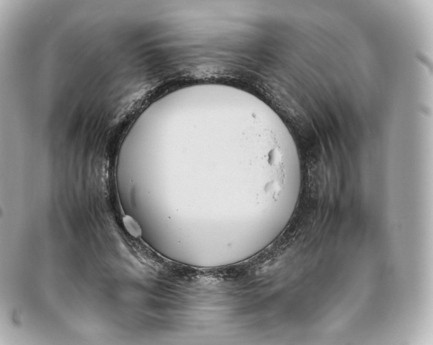 X0000095910592200802011152