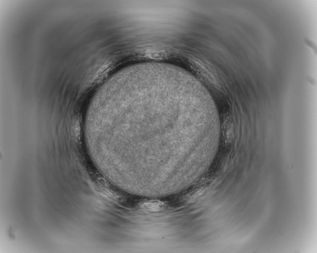 X0000095910595200802011152