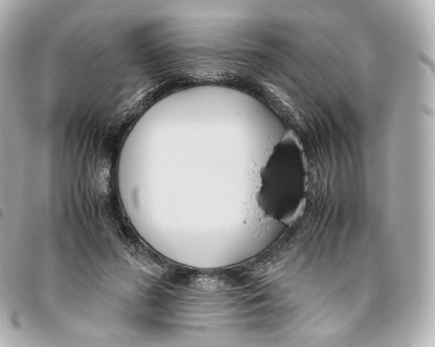 X0000095910596200802011152