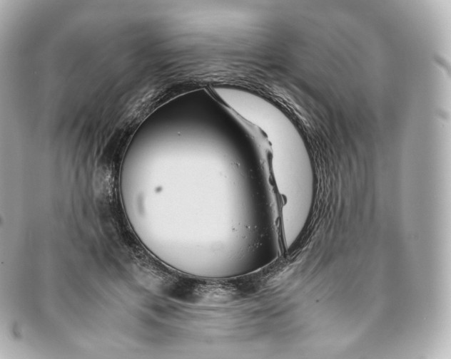 X0000095910597200802011152