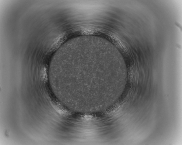 X0000095910598200802011152