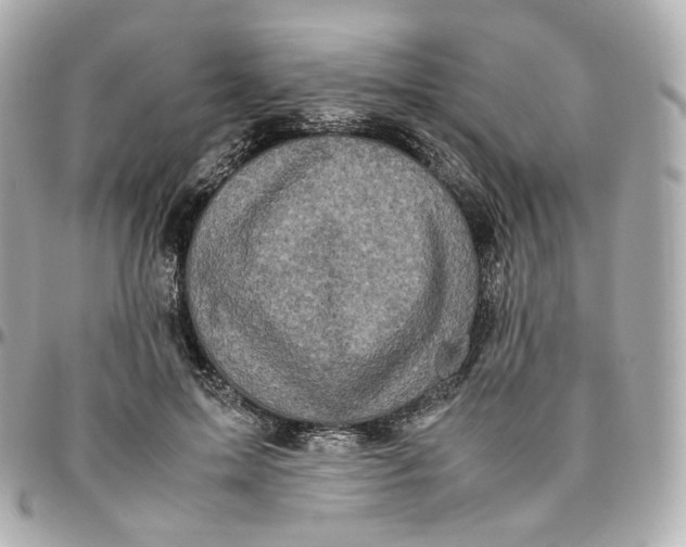 X0000095910599200802011152