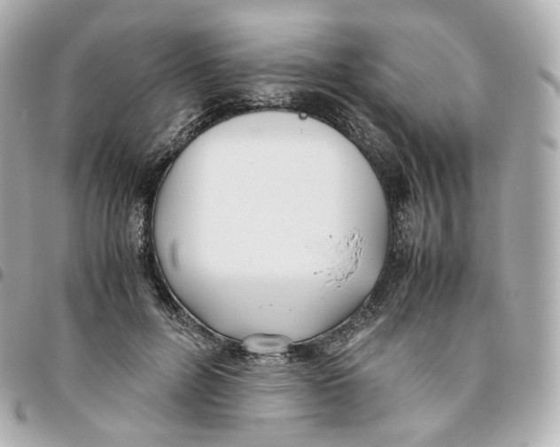 X0000095910600200802011152