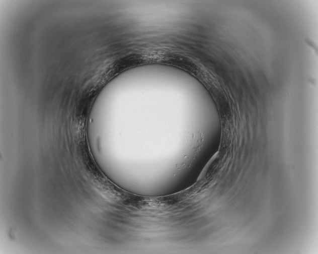 X0000095910601200802011152