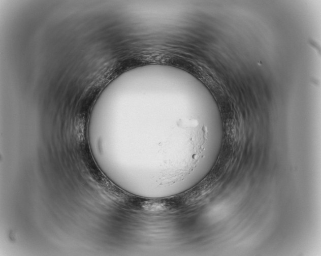 X0000095910602200802011152