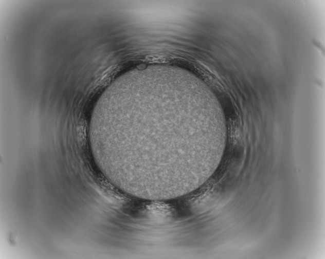 X0000095910603200802011152