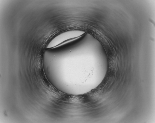 X0000095910604200802011152