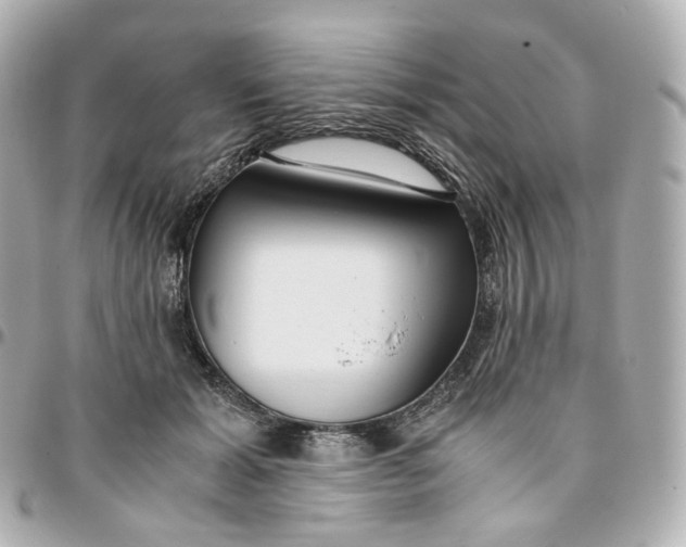 X0000095910605200802011152