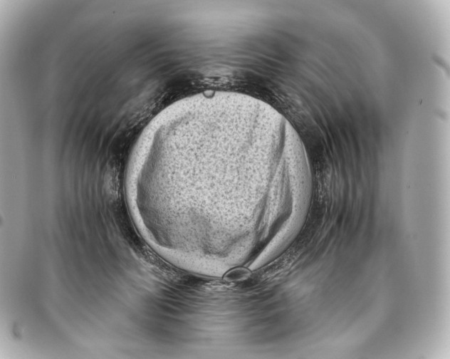 X0000095910606200802011152