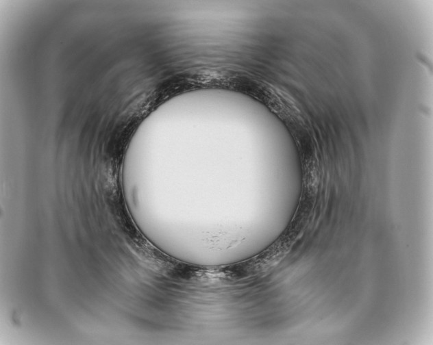 X0000095910607200802011152