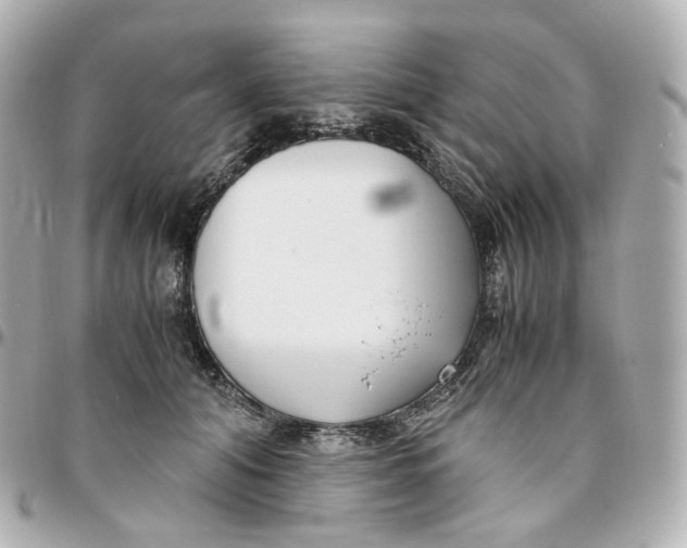 X0000095910608200802011152