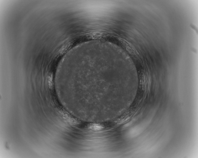 X0000095910610200802011152