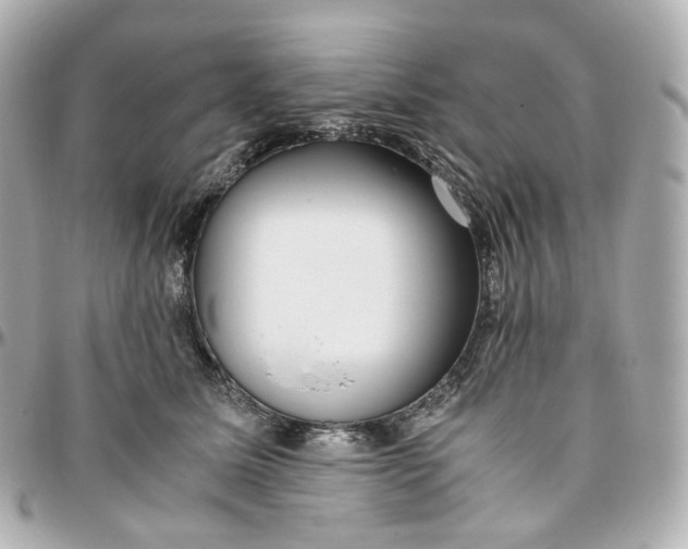 X0000095910611200802011152