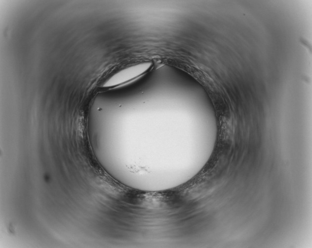 X0000095910612200802011152