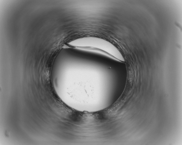 X0000095910613200802011152