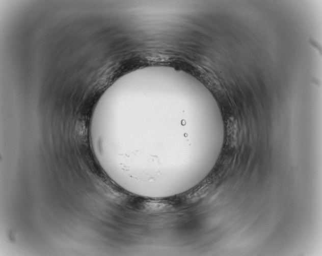 X0000095910614200802011152