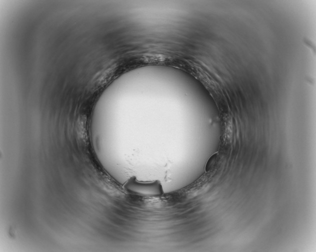 X0000095910616200802011152