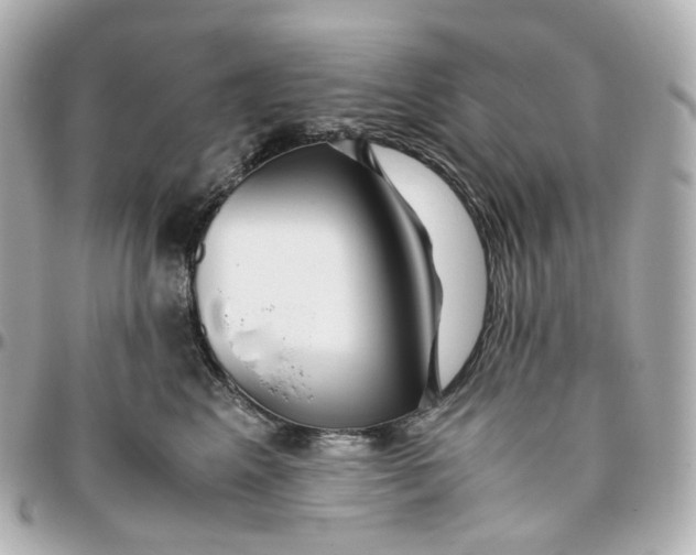 X0000095910617200802011152