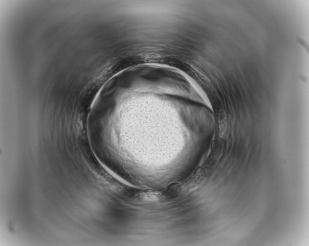 X0000095910618200802011152