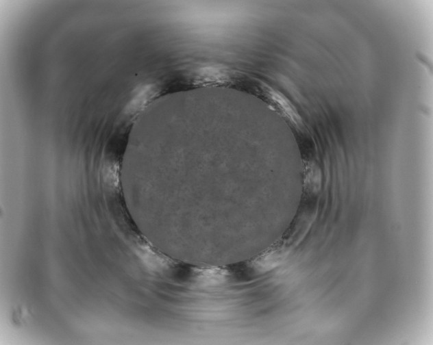 X0000095910621200802011152