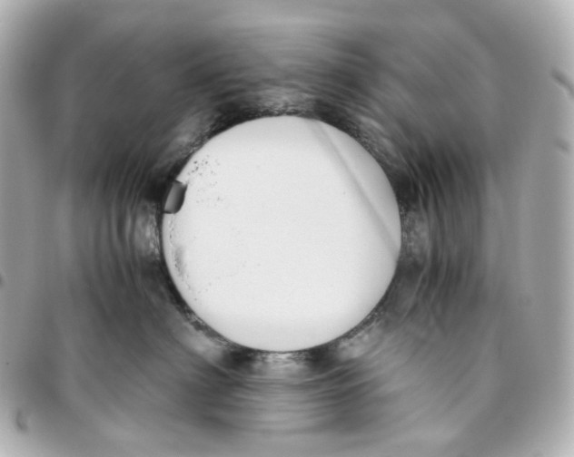 X0000095910622200802011152