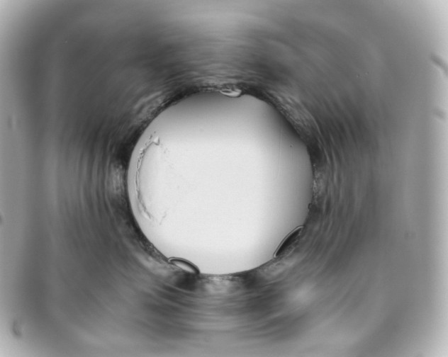 X0000095910623200802011152