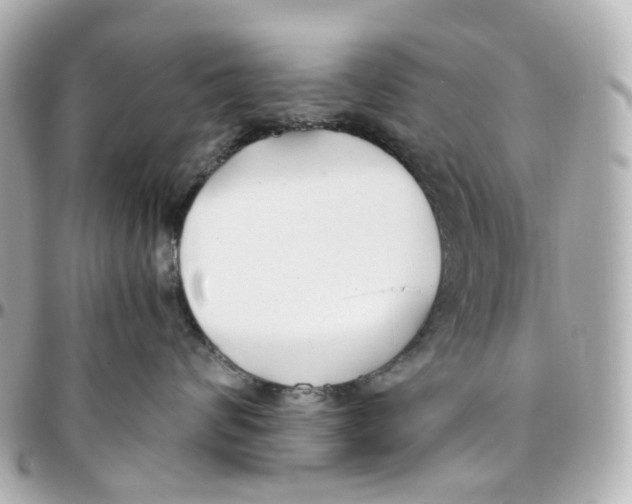 X0000095910624200802011152