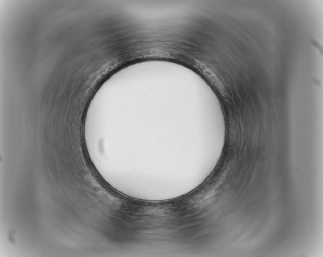 X0000095910625200802011151