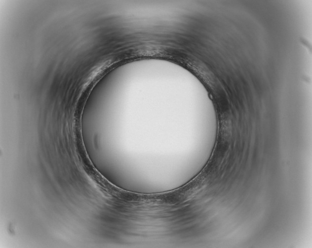 X0000095910626200802011151