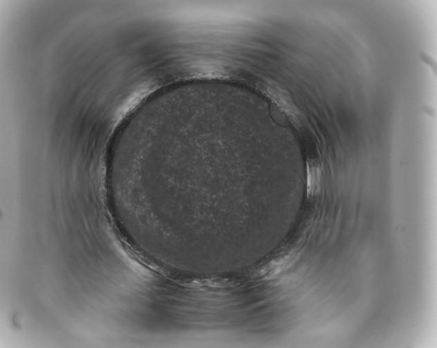 X0000095910627200802011151