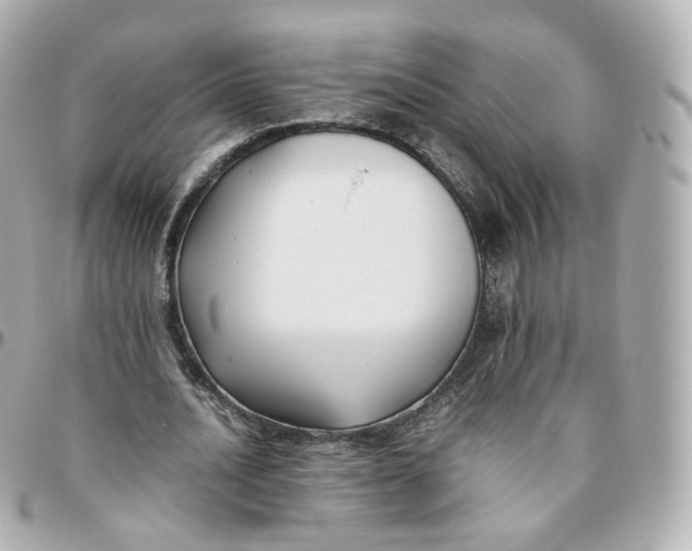 X0000095910628200802011151