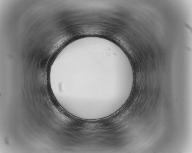 X0000095910629200802011151