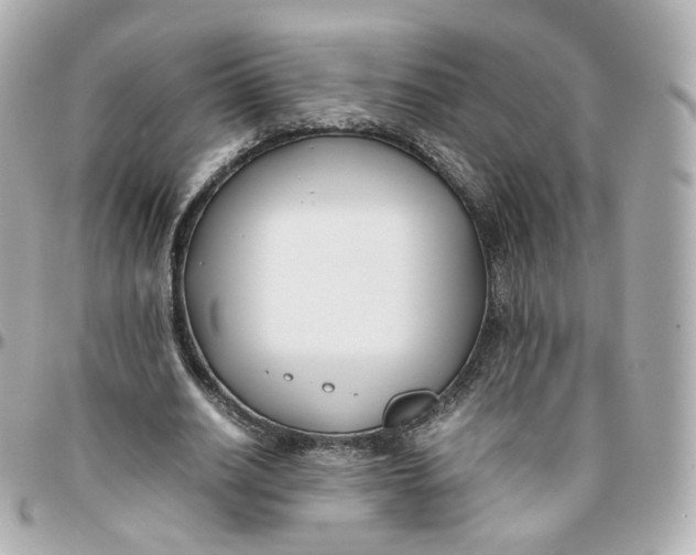 X0000095910630200802011151