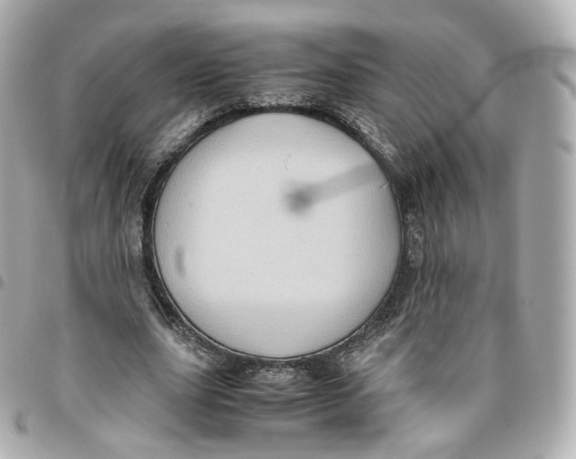 X0000095910631200802011151